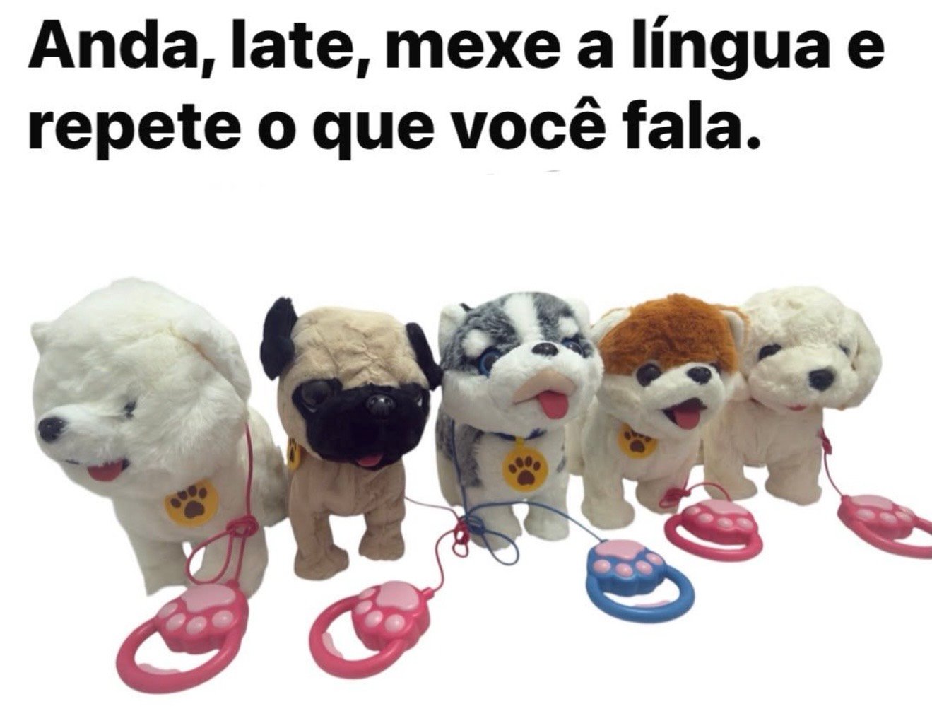 Pet interativo